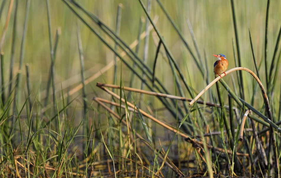 1301 Eth. Martins 3635